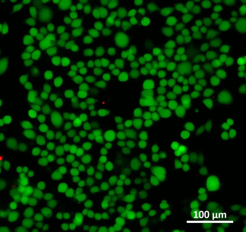 Microfluidic For Cell Biology Concepts And Methodologies Elveflow