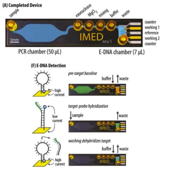 Electrochemistry And Microfluidics : A Short Review - Elveflow