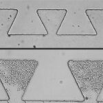 Microfluidics applications review 3
