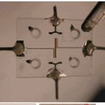 Microfluidics applications review 5