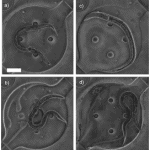 Microfluidics applications review 8