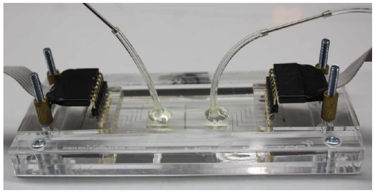 Electrodes deposited on glass to be integrated in the ’PDMS microfluidic chip