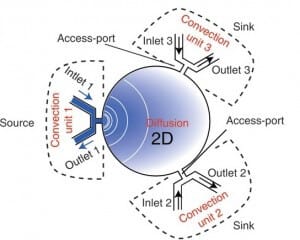 cross channel microfluidic gradient generator