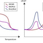 Microfluidics for DNA analysis qPCR Melting curve analysis1