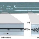 Microfluidic PCR qPCR RT PCR qRT PCR digital qPCR