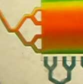 chemotaxis A folch plug and play microfluidic setup