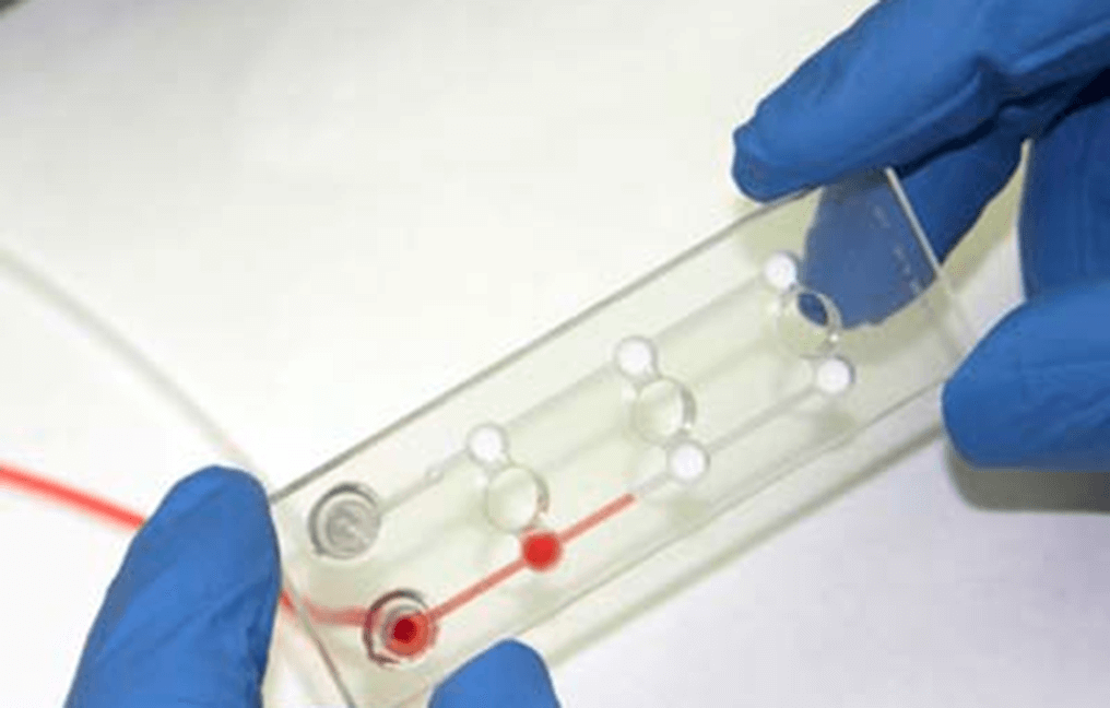 How to fill the microslide microfluidic cell culture 1 cells assays on chip