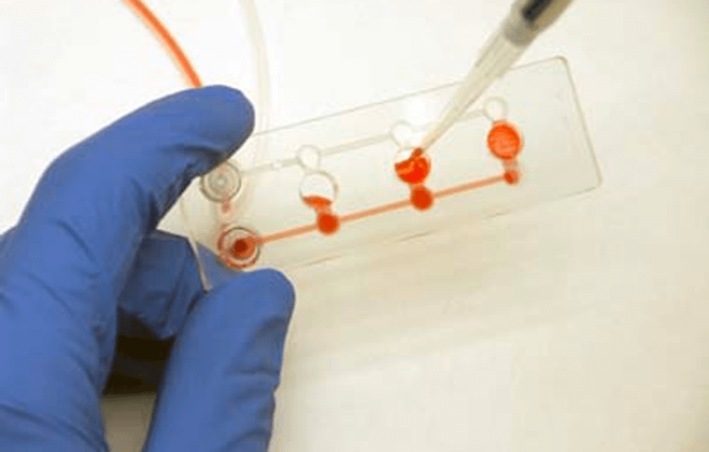 How to fill the microslide microfluidic cell culture 2 cells assays on chip