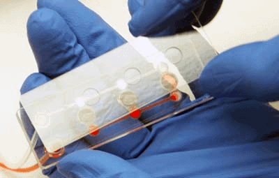 How to fill the microslide microfluidic cell culture 3 cells assays on chip