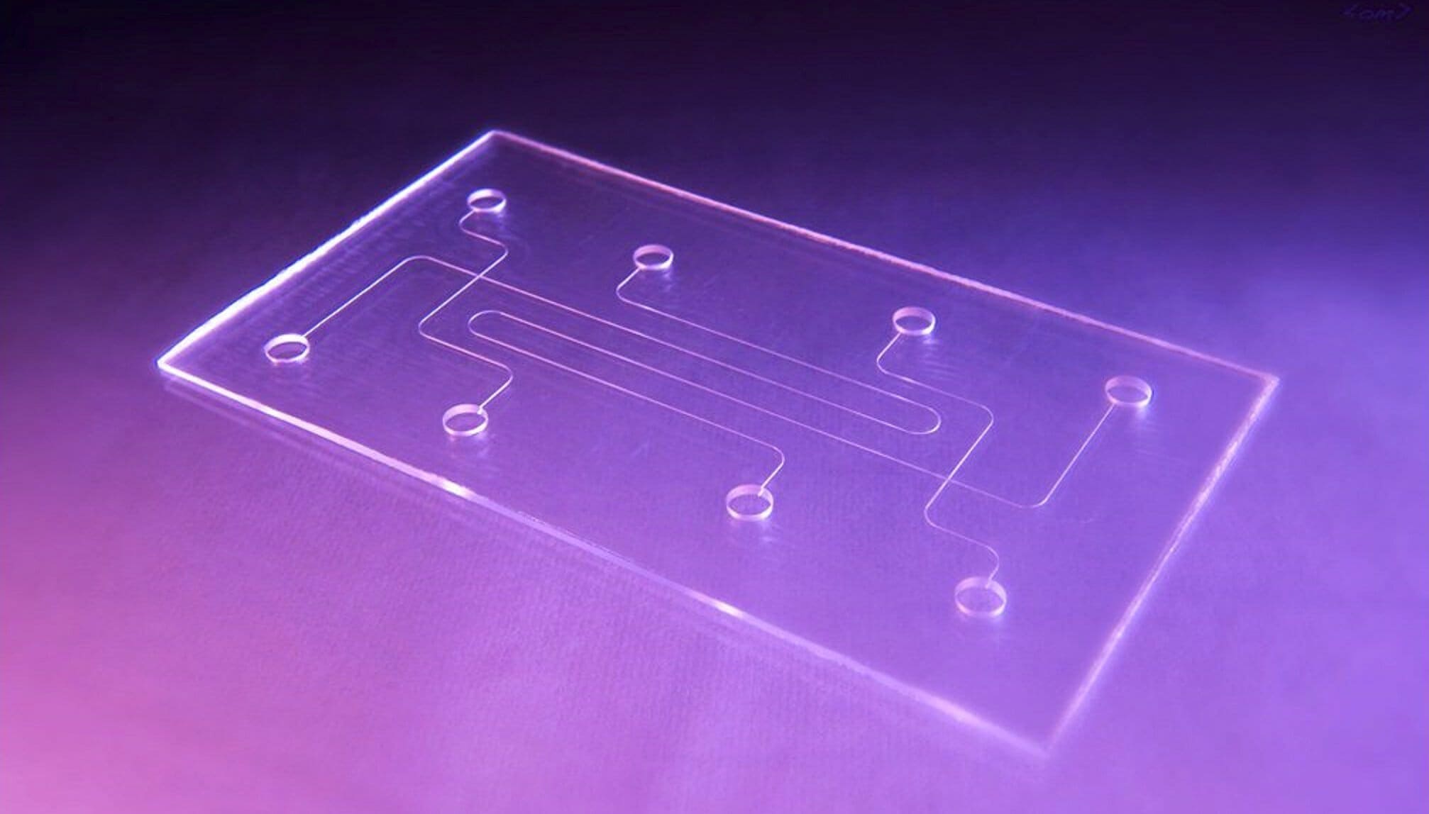 soft lithography SU 8 PMMA microfluidic chips