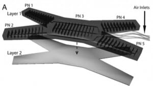 Microfluidic soft robot Multigait 1