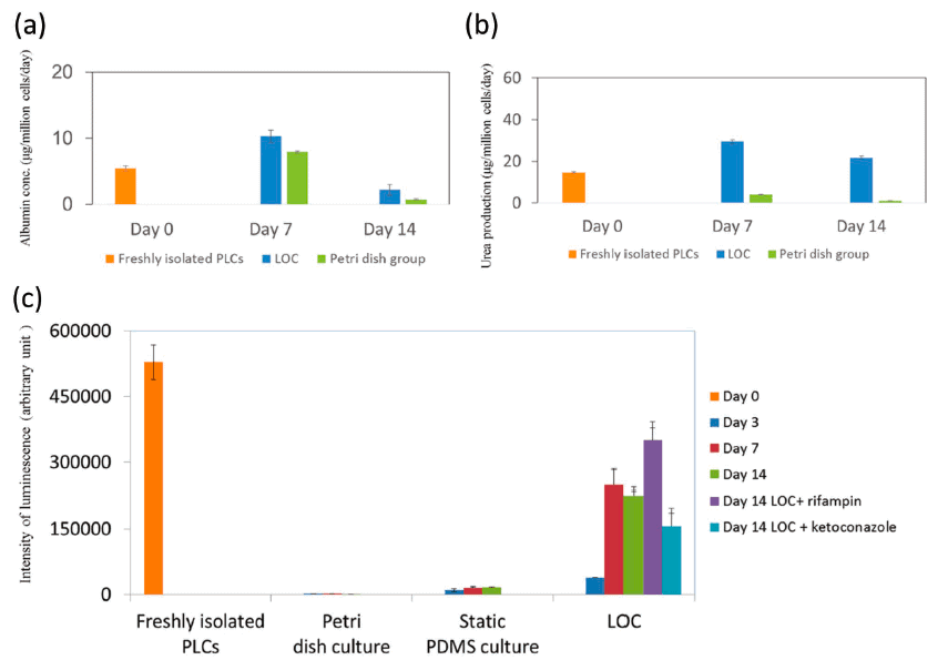 Figure 5: Liver-specific functions and metabolic activities in long-term cultured LOC. a), b) Albumin and urea production in long-term cultured LOC; c) Metabolic activities of LOC. From Weng YS and al., 2017, Scaffold-Free Liver-On- A-Chip with Multiscale Organotypic Cultures.