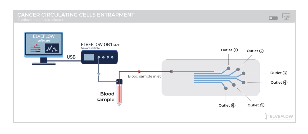 /CANCER-CIRCULATING-CELLS-ENTRAPMENT-Elveflow