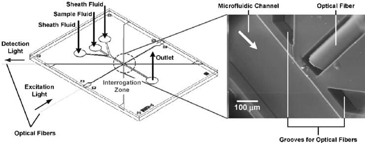 Fluorescence Immunoassay-Optical Detection-Microfluidics-Elveflow-Startup-NBIC Valley-Innovation