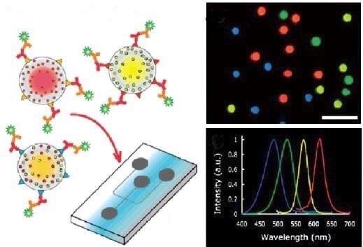 Immunosensing-Optical Detection-Microfluidics-Elveflow-Startup-NBIC Valley-Innovation