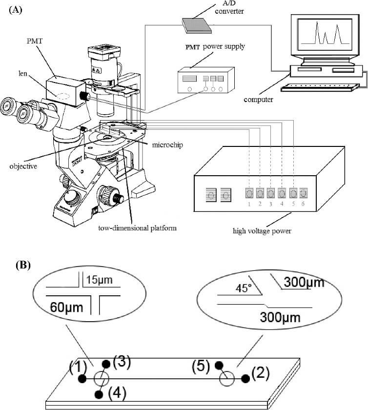 Microchip electrophoresis-Optical Detection-Microfluidics-Elveflow-Startup-NBIC Valley-Innovation