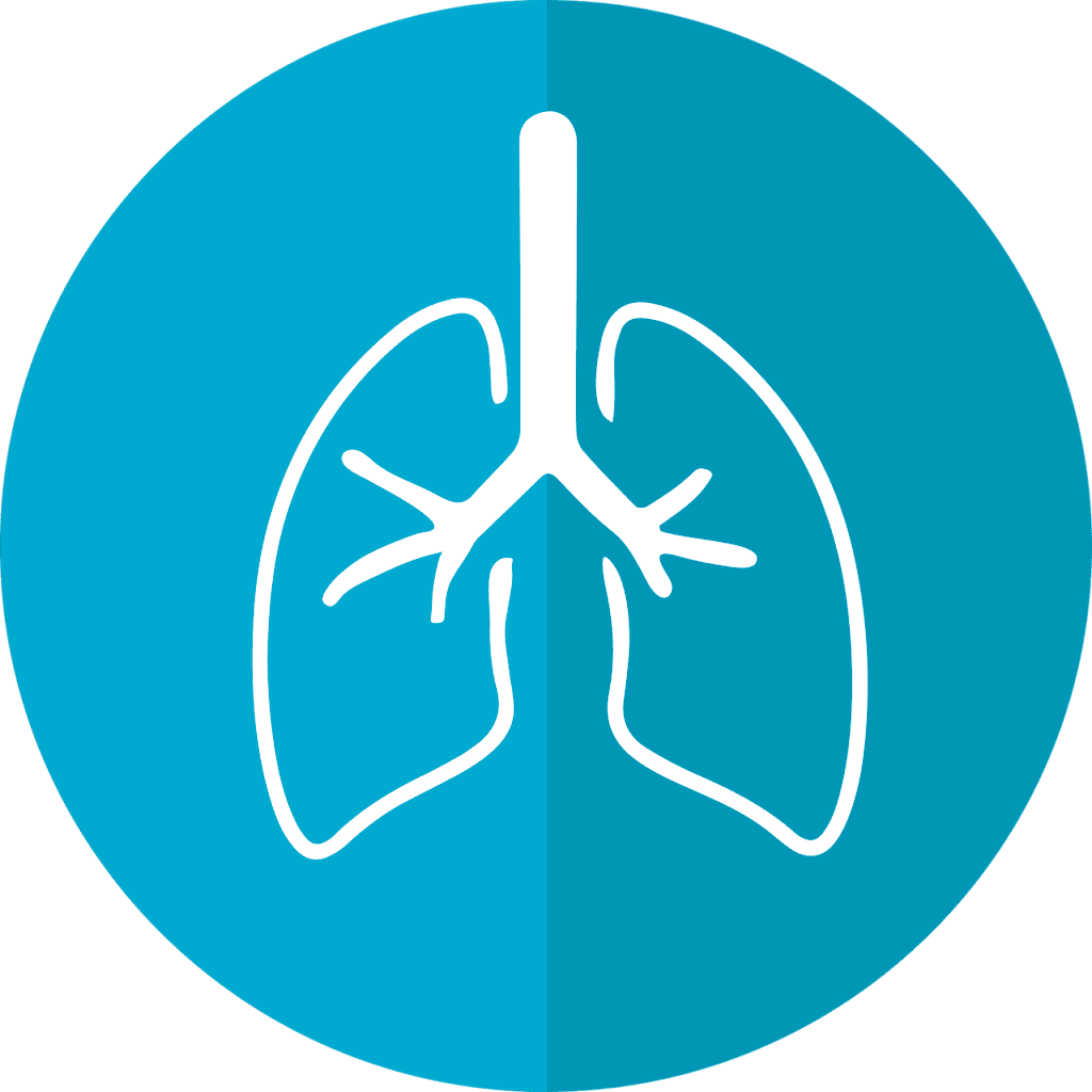 Overview of Lung-on-Chip systems – The use of the alveolar-capillary ...