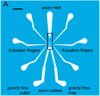 chip microfluidics elveflow