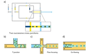 Junctions geometry used in double emulsion droplets