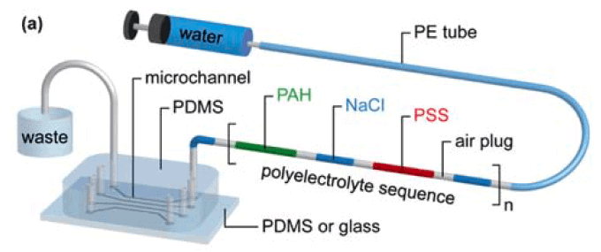 monodisperse-double-emulsion-droplets-Elvesys-layer-coating