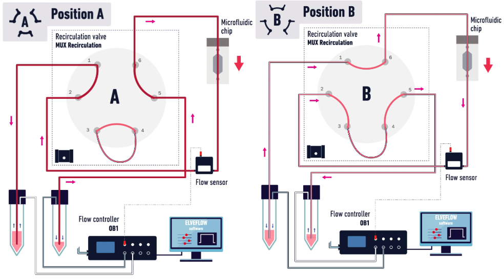 Schematic representation of a recirculation loop setup with microfludiic injection valve from elveflow, one direction only