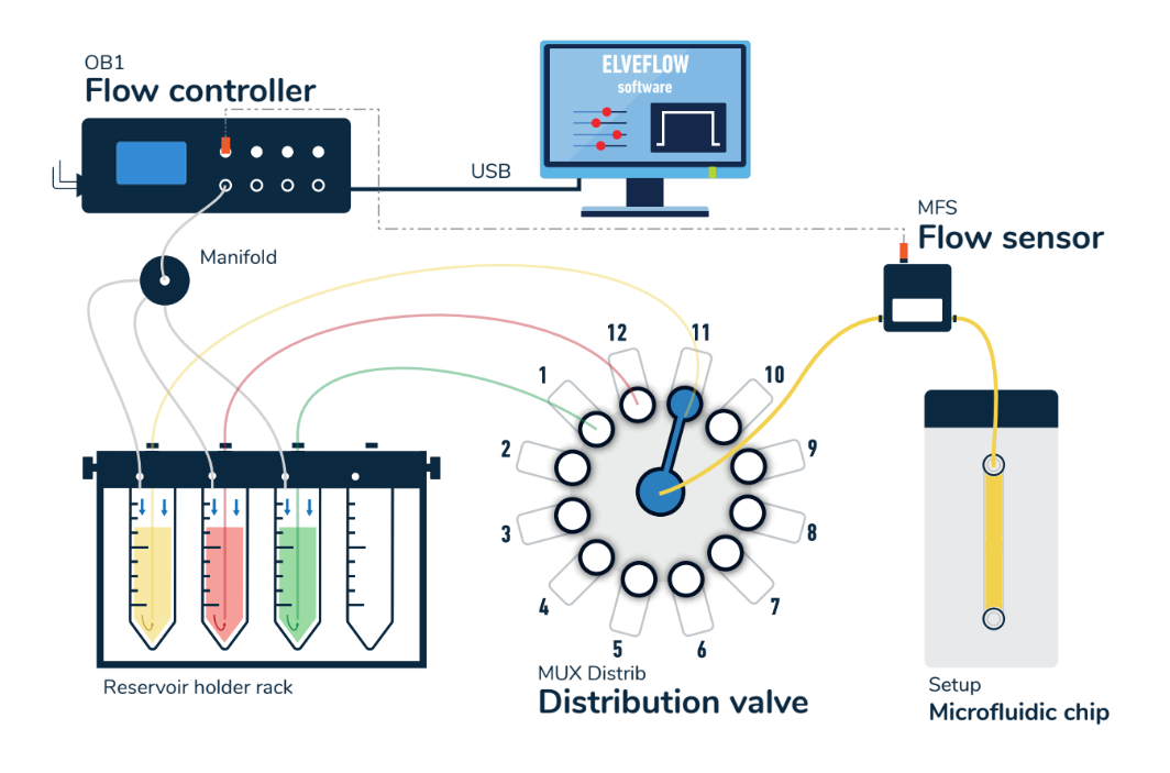 Perfusion flow control system