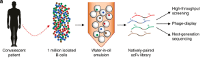 single cell encapsulation