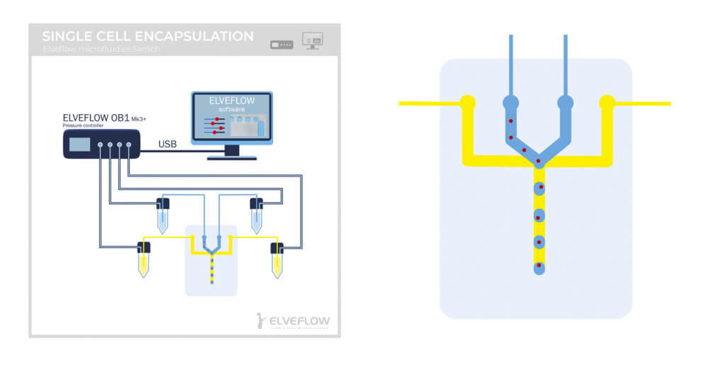 single cell encapsulation experimental setup