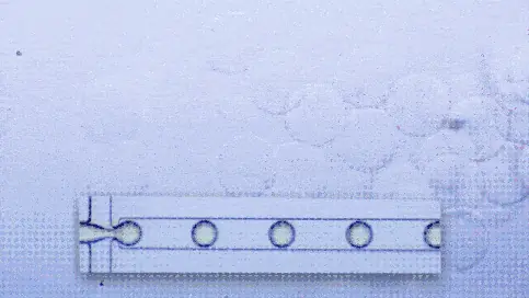 Gif algnate beads pack 3