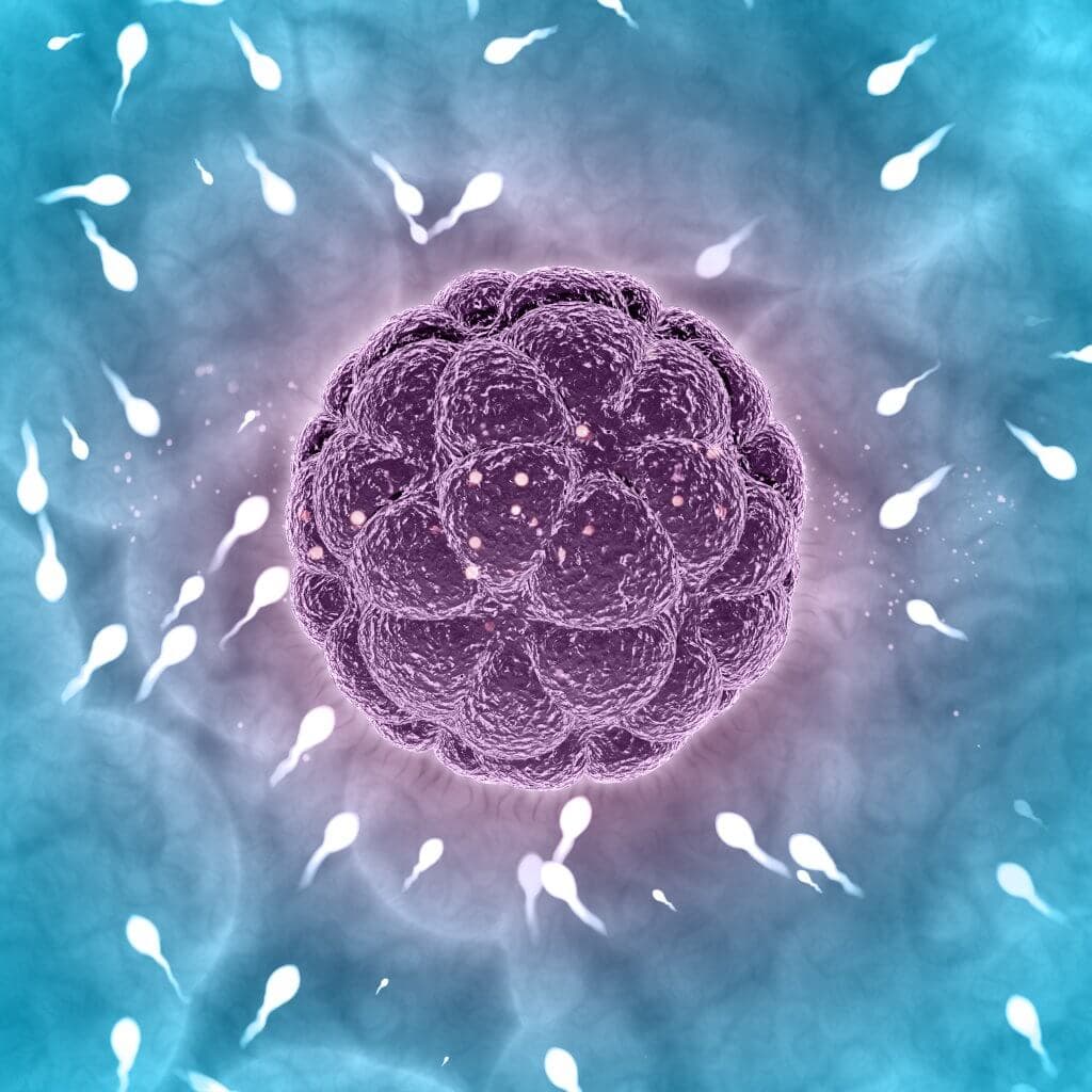 Microfluidic research project Elveflow industrial PhD Paris scaled