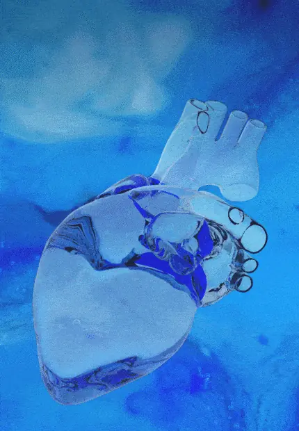 Organ on chip pack 2