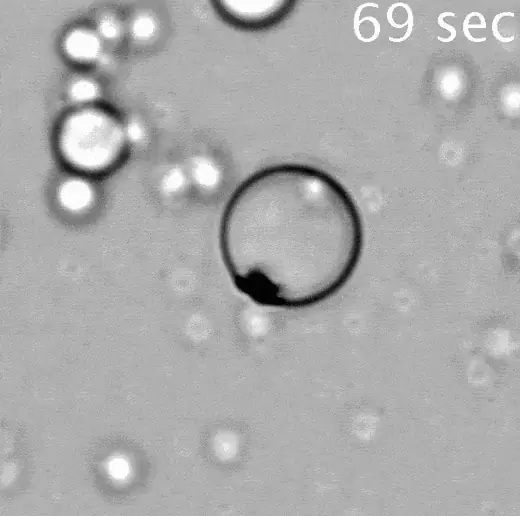Synthetic Magnetosomes video