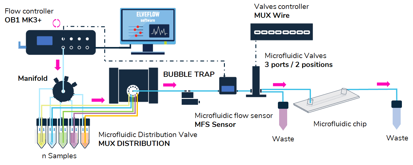 Cell staining microfluidic setup V2