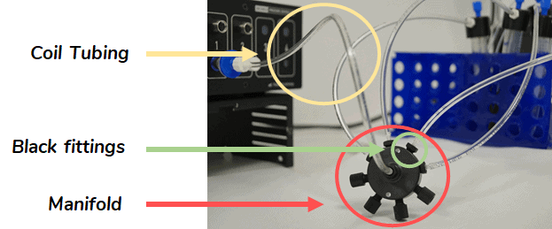 Manifold connection for cell staining