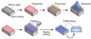 2-circular channel-microfluidics-pdms