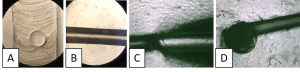 4-circular channels-elveflow-microfluidics-microscopy