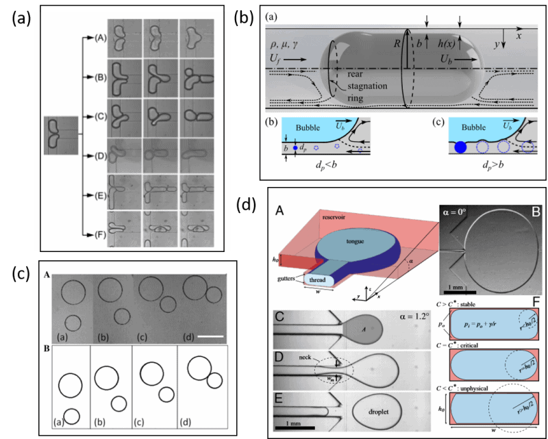 Confined particles in microfluidic devices: a review - Elveflow