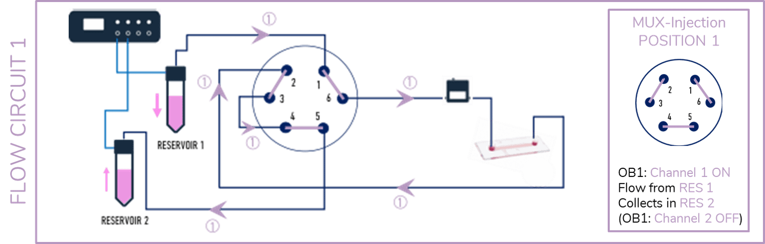 Medium recirculation POS 1