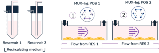 Recirculating medium visual protocol e1600261820431