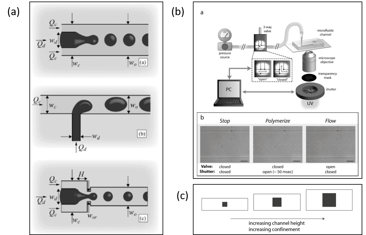 Confined particles in microfluidic devices: a review - Elveflow