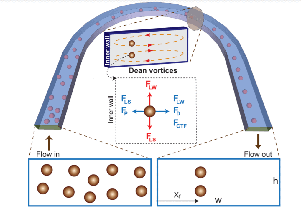 Cell sorting use case