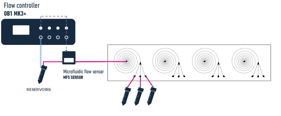 Cell sorting setup