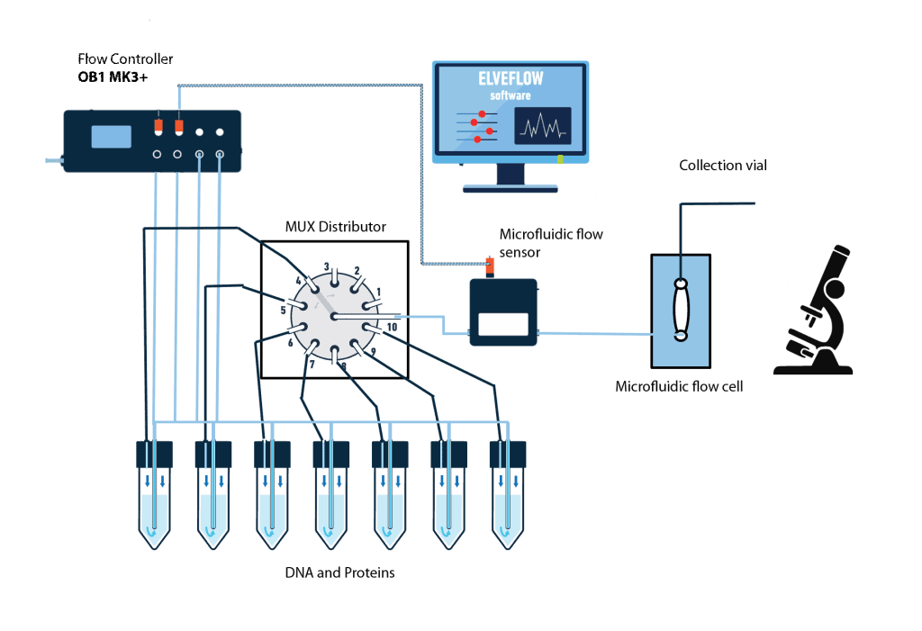 microfluidic set up for colocalization studies of DNA interaction