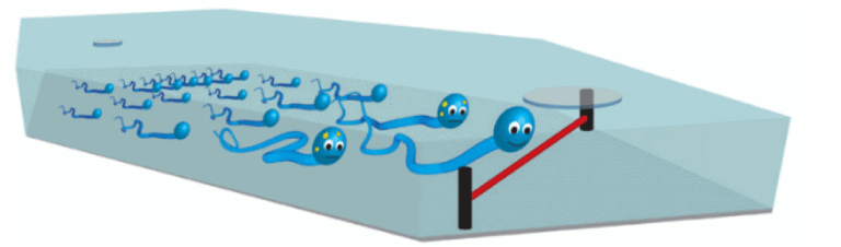 Microfluidics For Sperm Sorting: A Review - Microfluidic Reviews - Elveflow