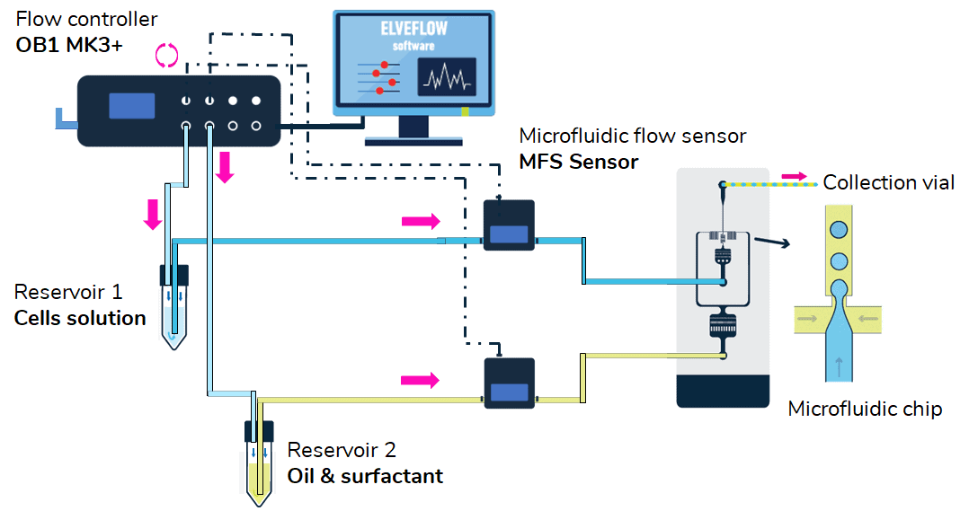 Single cell encapsulation setup