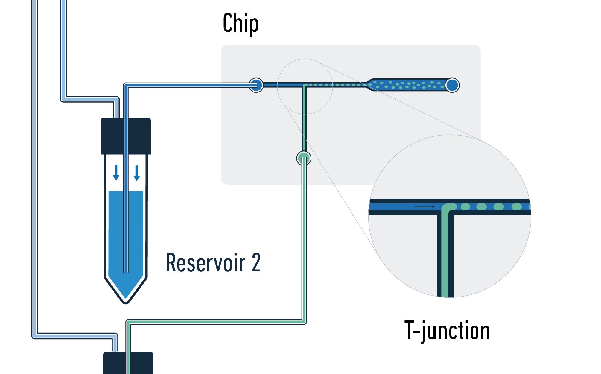 T junction microfluidics droplets details