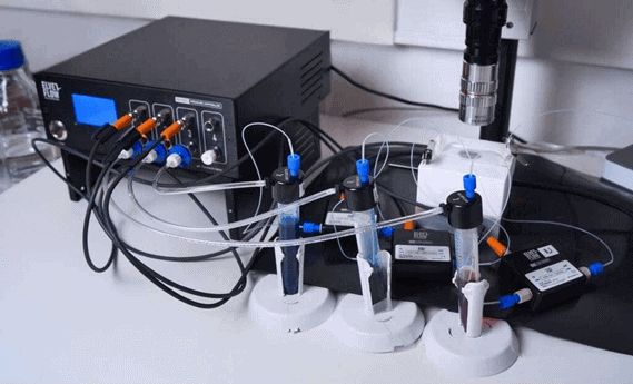 Antifungal screening using droplet based microfluidics setup photo