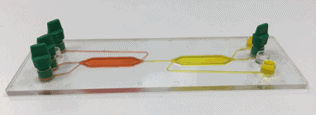 Cell cell interaction chip filling side