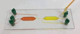 Cell cell interaction chip filling