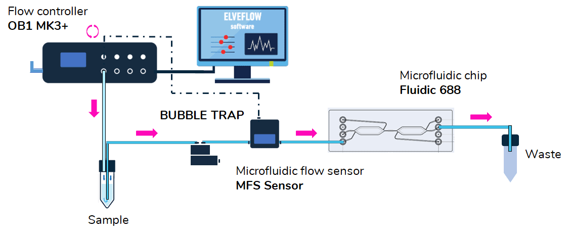 Cell cell interaction microfluidic setup